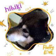 ヒメ日記 2025/08/01 22:16 投稿 羽山 響 五十路マダム富山店(カサブランカグループ)