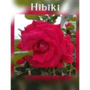 ヒメ日記 2025/08/13 22:18 投稿 羽山 響 五十路マダム富山店(カサブランカグループ)