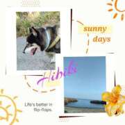 ヒメ日記 2025/08/18 15:50 投稿 羽山 響 五十路マダム富山店(カサブランカグループ)