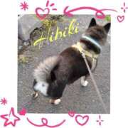 ヒメ日記 2025/08/20 20:32 投稿 羽山 響 五十路マダム富山店(カサブランカグループ)