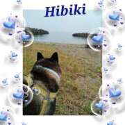 ヒメ日記 2025/08/24 18:20 投稿 羽山 響 五十路マダム富山店(カサブランカグループ)