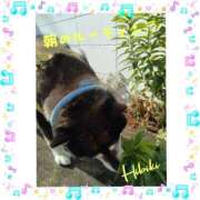 ヒメ日記 2025/09/12 10:46 投稿 羽山 響 五十路マダム富山店(カサブランカグループ)