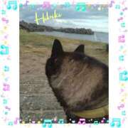 ヒメ日記 2025/09/21 09:28 投稿 羽山 響 五十路マダム富山店(カサブランカグループ)