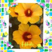 ヒメ日記 2025/09/28 15:30 投稿 羽山 響 五十路マダム富山店(カサブランカグループ)