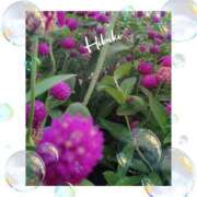 ヒメ日記 2025/09/29 20:12 投稿 羽山 響 五十路マダム富山店(カサブランカグループ)