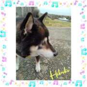 ヒメ日記 2025/10/05 12:36 投稿 羽山 響 五十路マダム富山店(カサブランカグループ)