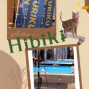 ヒメ日記 2025/10/12 11:18 投稿 羽山 響 五十路マダム富山店(カサブランカグループ)