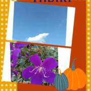 ヒメ日記 2025/10/14 15:40 投稿 羽山 響 五十路マダム富山店(カサブランカグループ)