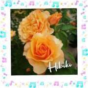 ヒメ日記 2025/10/22 11:10 投稿 羽山 響 五十路マダム富山店(カサブランカグループ)