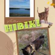 ヒメ日記 2025/10/25 10:40 投稿 羽山 響 五十路マダム富山店(カサブランカグループ)