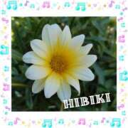 ヒメ日記 2025/10/29 13:34 投稿 羽山 響 五十路マダム富山店(カサブランカグループ)