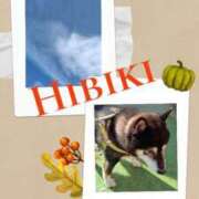 ヒメ日記 2025/11/22 11:18 投稿 羽山 響 五十路マダム富山店(カサブランカグループ)