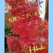 ヒメ日記 2025/11/30 12:54 投稿 羽山 響 五十路マダム富山店(カサブランカグループ)