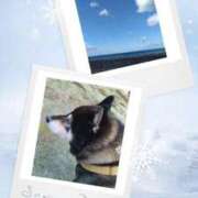 羽山 響 [お題]from:ゾッとした？さん 五十路マダム富山店(カサブランカグループ)