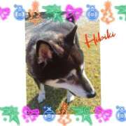 ヒメ日記 2025/12/11 17:10 投稿 羽山 響 五十路マダム富山店(カサブランカグループ)