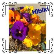 ヒメ日記 2025/12/19 11:22 投稿 羽山 響 五十路マダム富山店(カサブランカグループ)