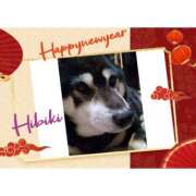 ヒメ日記 2026/01/02 15:34 投稿 羽山 響 五十路マダム富山店(カサブランカグループ)