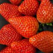 ヒメ日記 2025/03/11 19:10 投稿 ののは 即トク奥さん