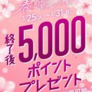 ヒメ日記 2025/03/24 20:20 投稿 ののは 即トク奥さん