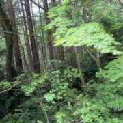 ヒメ日記 2025/07/01 12:00 投稿 ののは 即トク奥さん