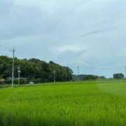 ヒメ日記 2026/08/10 14:52 投稿 ののは 即トク奥さん