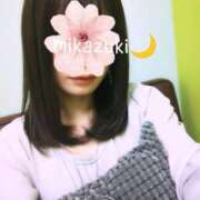 ヒメ日記 2024/12/22 19:14 投稿 三日月ひかる コウテイ