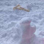 ヒメ日記 2025/01/12 13:44 投稿 三日月ひかる コウテイ