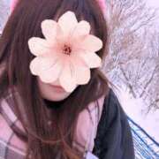 ヒメ日記 2025/01/13 11:57 投稿 三日月ひかる コウテイ