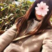 ヒメ日記 2025/02/09 08:02 投稿 三日月ひかる コウテイ