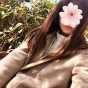 ヒメ日記 2025/02/09 08:15 投稿 三日月ひかる コウテイ