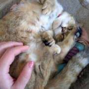 ヒメ日記 2025/02/10 20:25 投稿 三日月ひかる コウテイ