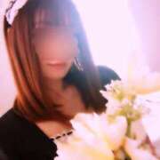 ヒメ日記 2025/02/19 10:06 投稿 三日月ひかる コウテイ