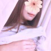 ヒメ日記 2025/02/23 09:53 投稿 三日月ひかる コウテイ