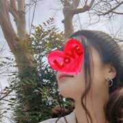 ヒメ日記 2025/04/02 10:23 投稿 三日月ひかる コウテイ