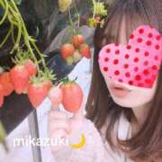 ヒメ日記 2025/04/06 01:28 投稿 三日月ひかる コウテイ