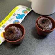 ヒメ日記 2025/04/06 18:08 投稿 三日月ひかる コウテイ