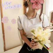 ヒメ日記 2025/04/07 09:58 投稿 三日月ひかる コウテイ