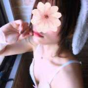 ヒメ日記 2025/04/08 09:45 投稿 三日月ひかる コウテイ