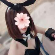 ヒメ日記 2025/04/08 14:52 投稿 三日月ひかる コウテイ