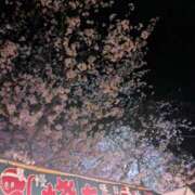 ヒメ日記 2025/04/09 08:25 投稿 三日月ひかる コウテイ