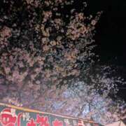 ヒメ日記 2025/04/09 08:35 投稿 三日月ひかる コウテイ