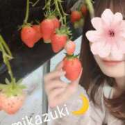 ヒメ日記 2025/04/26 11:36 投稿 三日月ひかる コウテイ