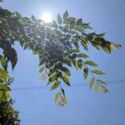 ヒメ日記 2025/05/13 13:45 投稿 三日月ひかる コウテイ