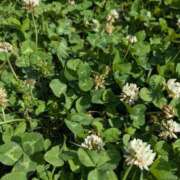 ヒメ日記 2025/05/21 07:56 投稿 三日月ひかる コウテイ