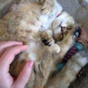 ヒメ日記 2025/05/21 21:26 投稿 三日月ひかる コウテイ