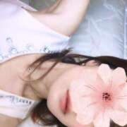 ヒメ日記 2025/07/13 10:53 投稿 三日月ひかる コウテイ