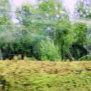 ヒメ日記 2025/07/16 16:31 投稿 三日月ひかる コウテイ