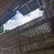 ヒメ日記 2025/07/20 07:54 投稿 三日月ひかる コウテイ