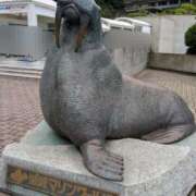 ヒメ日記 2025/08/14 08:15 投稿 三日月ひかる コウテイ