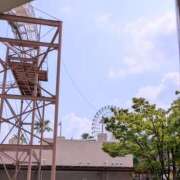 ヒメ日記 2025/08/25 08:01 投稿 三日月ひかる コウテイ